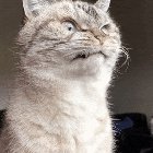 "Anger... rising..."