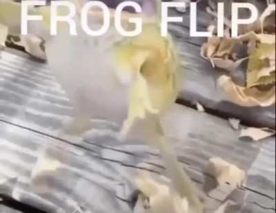 Bruhh