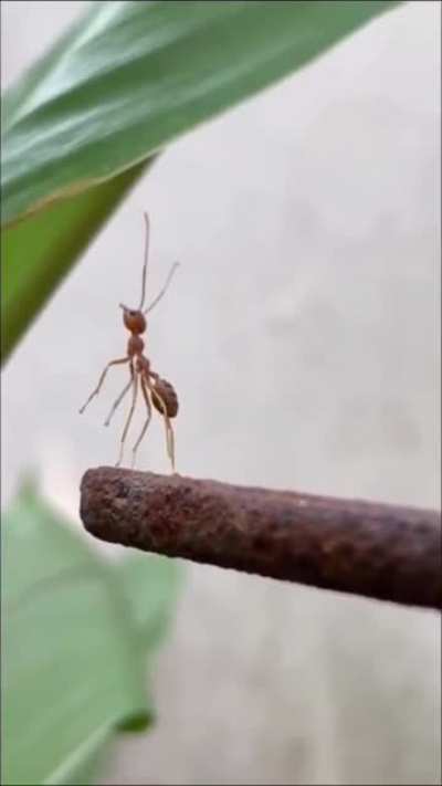 ? He didn't help the friend
