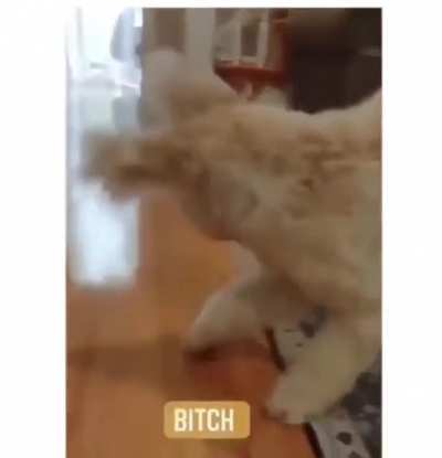 he got really mad at her ?
