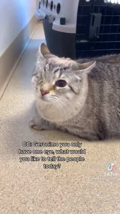 Everyone should see this