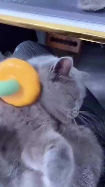 satisfying grooming