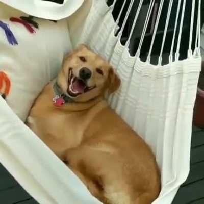 Chilling in the hammock