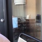 I'm gonna get you, lamp
