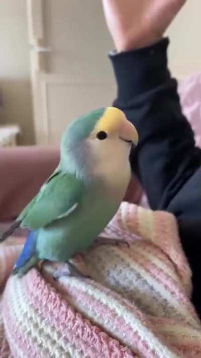 I think he's enjoying ?