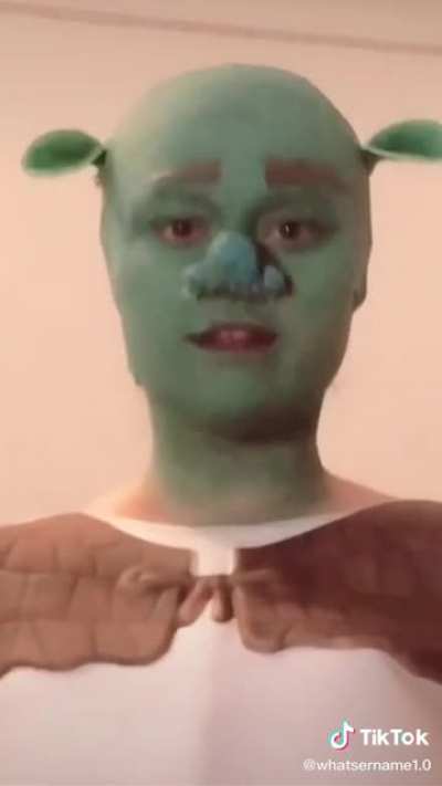 Shrek is Love, Shrek is Life