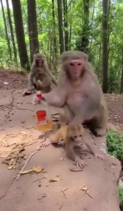 Daddy sippy