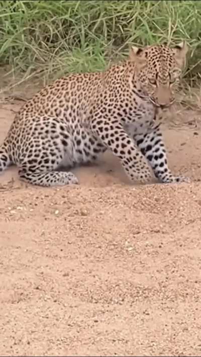 Maybe maybe maybe