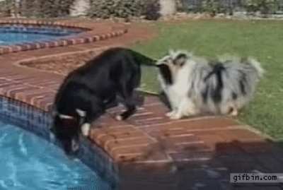 I gotchu bro