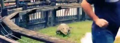 ? Who knew Crocs could run