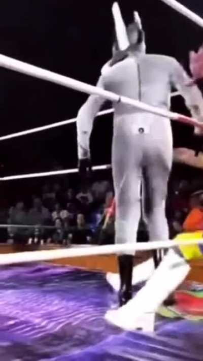 The ultimate move ever popped off ?