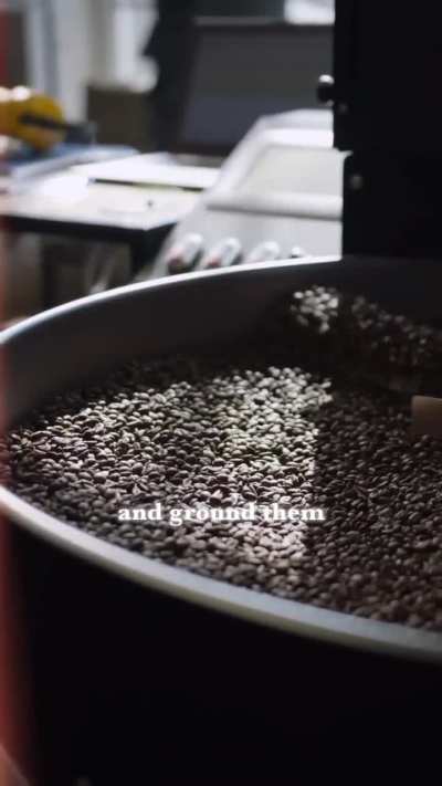 Your coffee has cockroaches