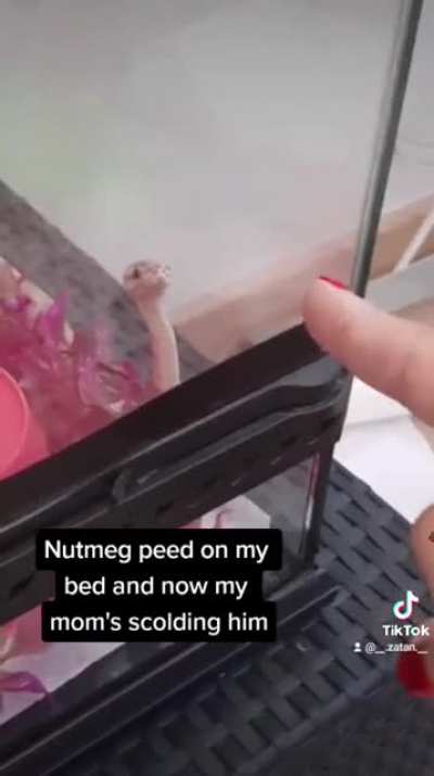 And he hasn't done it since ?