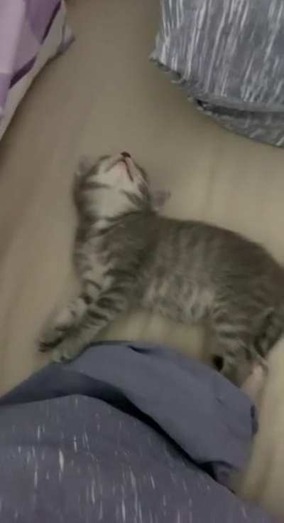 he sleep