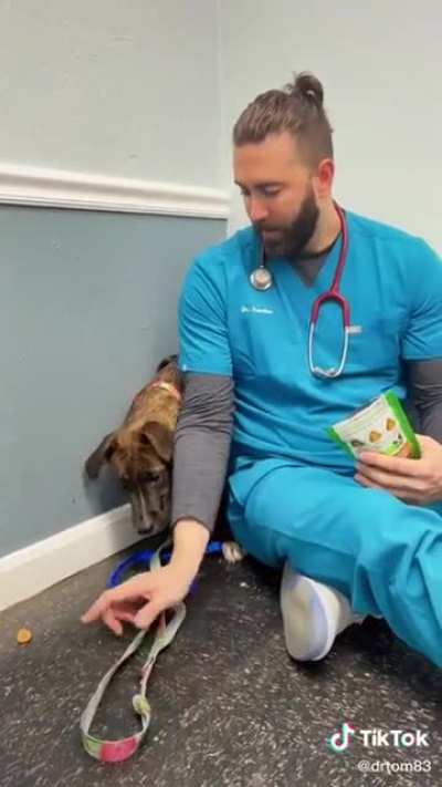 Heartbreaking how scared this poor pup is. The doctor is a perfection at handling him! ?