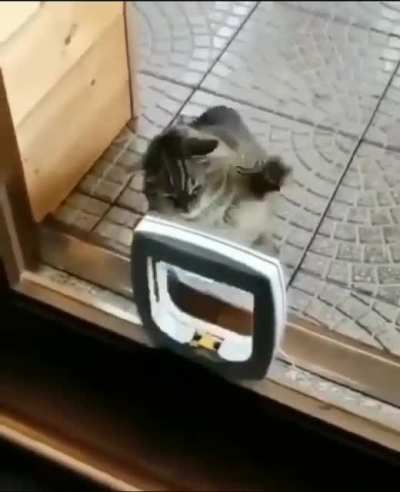 Time for his daily speed bag routine