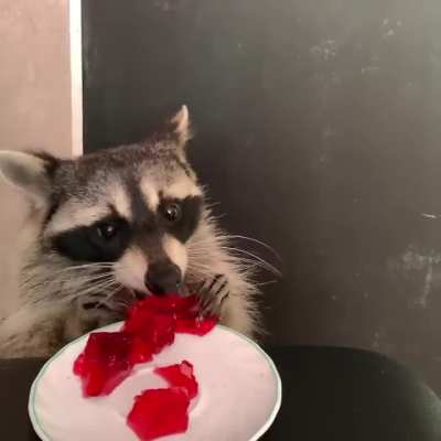Enjoying some Jello