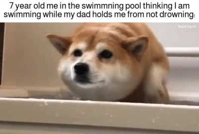 Pretty sure this is how a lot of people learned how to swim.