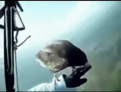 ? ? ? Bird stops by to visit a skydiver
