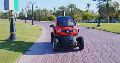 Orangutan drives a car with human mannerism
