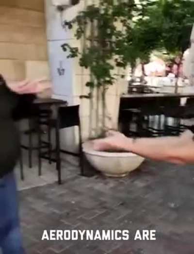 Teaching a bird bow to fly