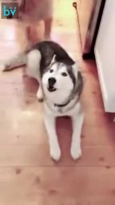 "I am the only good boy"