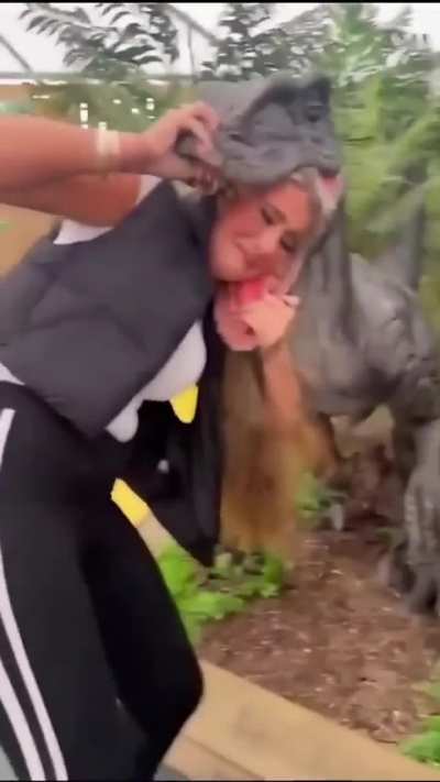 Surprizorus