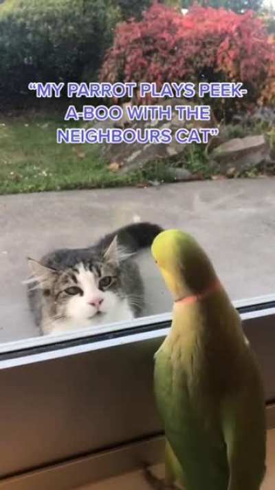 So close, and yet...