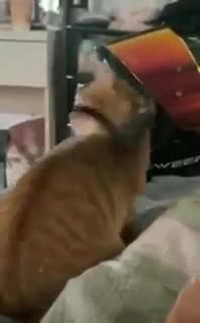 Maybe Maybe Maybe