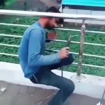 yesyesyesno