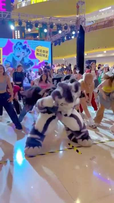 "When furry cover 2NE1-Mash up in KPOP random dance" is the caption for this one Source in the comments