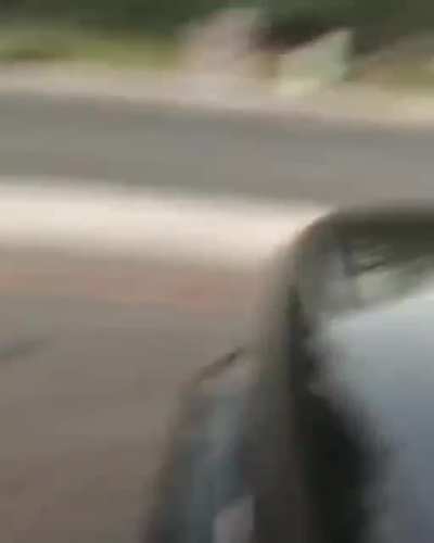 HMB while I piss of some cops