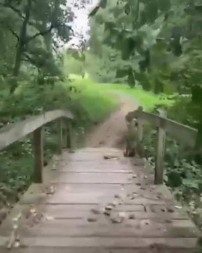 I guess thats how a minor heart attack feels like..?