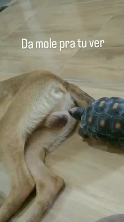 Maybe maybe maybe
