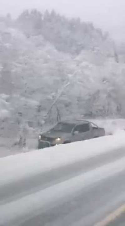 Not everyone is having a good day on the road