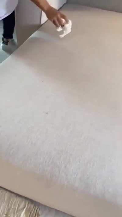 Hydrophobic sofa