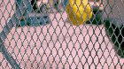 Water balloon, fence, slo-mo