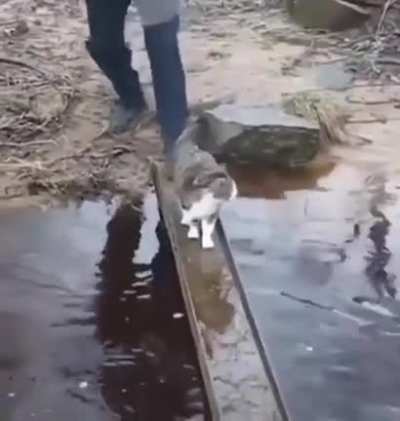 When you don’t want to wet your paws
