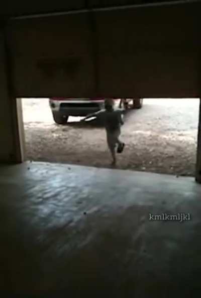 Bonk