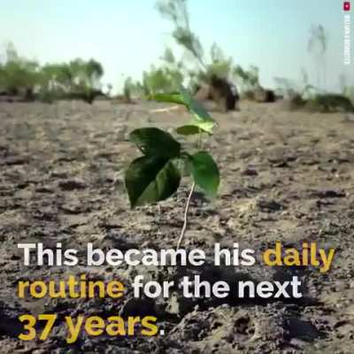 Conservation is needed at this point