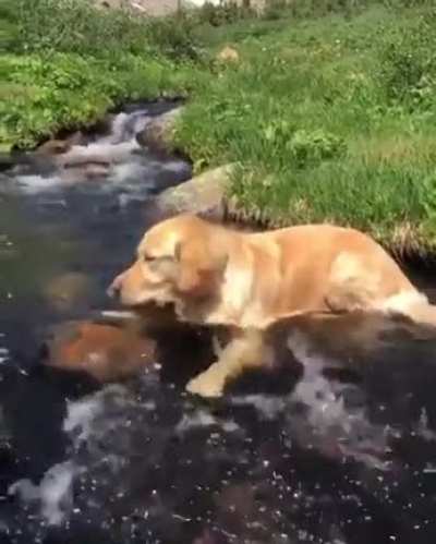 Relaxation at it's finest ... !! ?