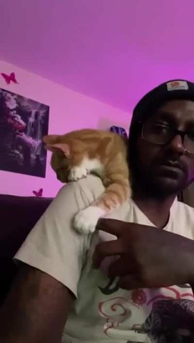 She sleeps on my shoulder every morning and today she held my finger!
