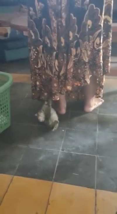 Maybe Maybe Maybe