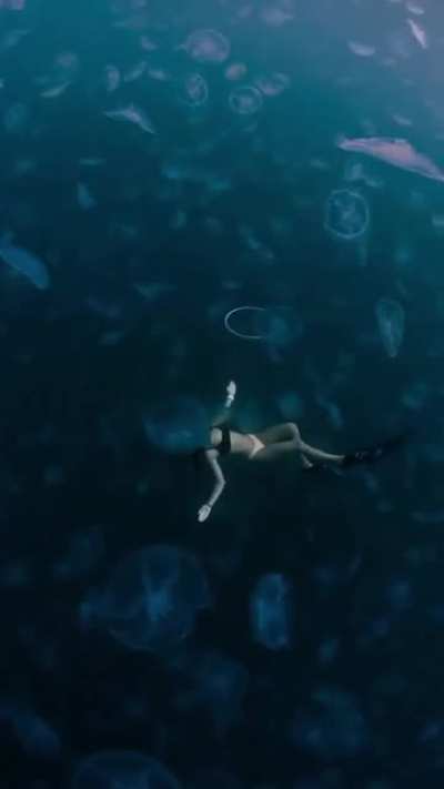 ? Floating in a field of Jellyfish in the beautiful waters of Raja Ampat