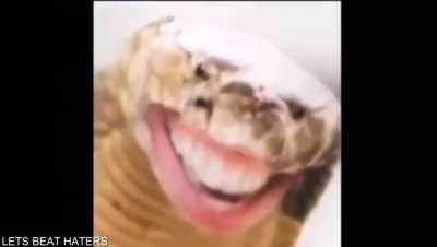 Damn, that snake bite.