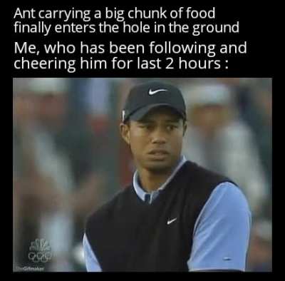 You can do it liitle fella