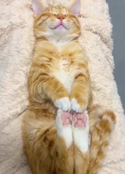 sweet dreams to you