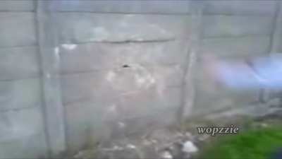 his leg got squished by concrete