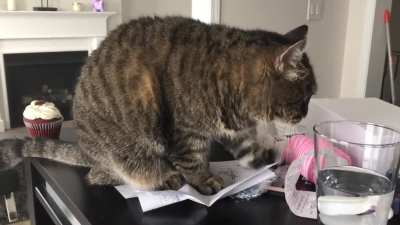 Analysing the paper