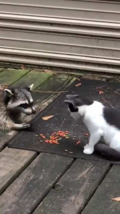 To Steal Snacks